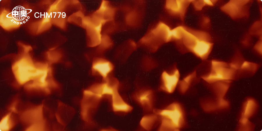 CHM779