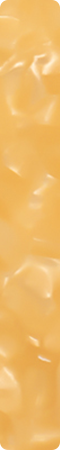 CHM538