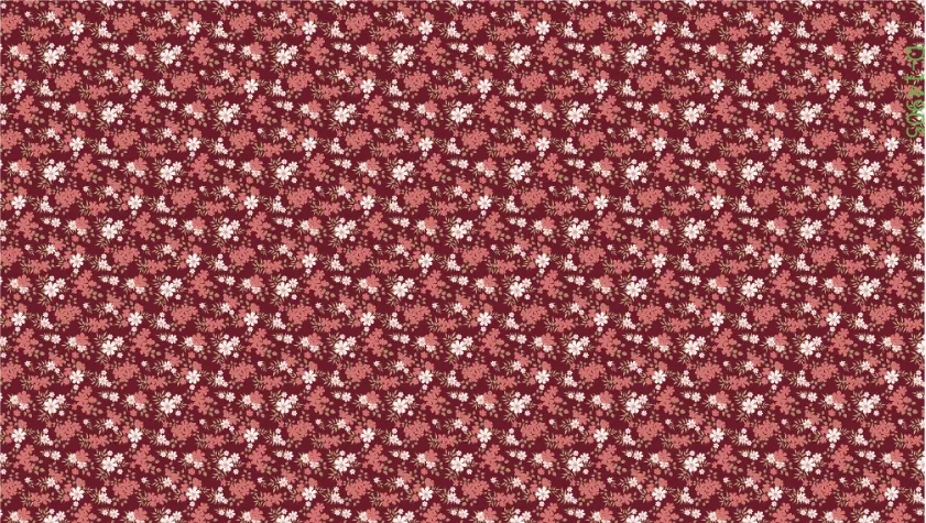 CHG13313