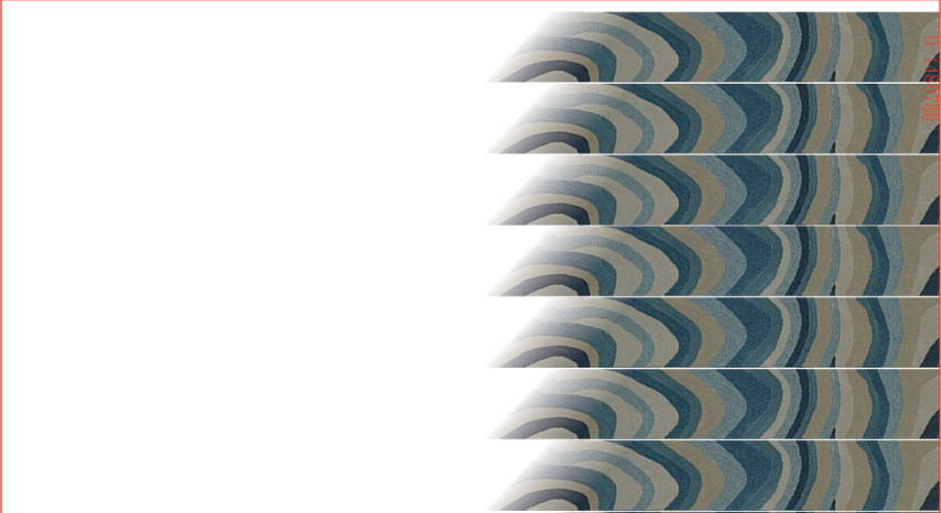 CHG13305