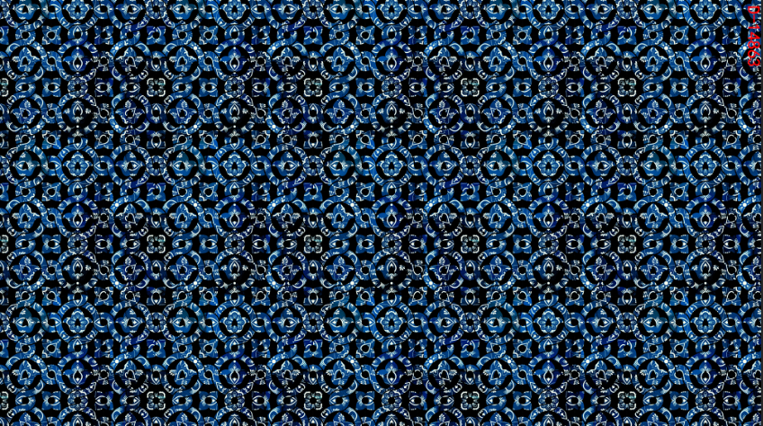 CHG13266