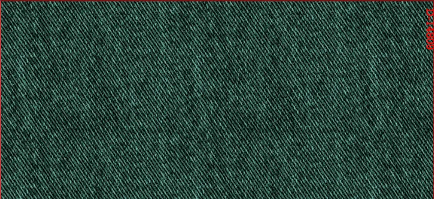 CHG13206