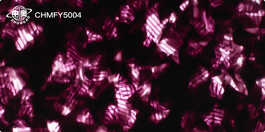 CHMFY5004