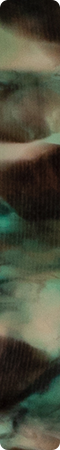 CHZM012