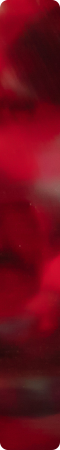 CHZM018