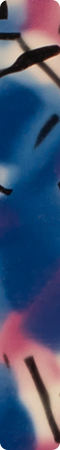 CHMP1002