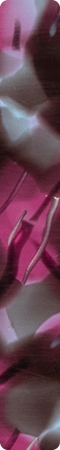 CHMP2009