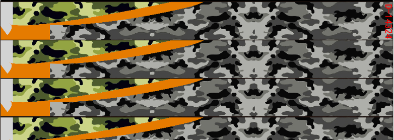 CHG12666
