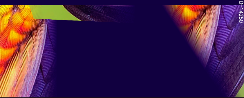CHG12588