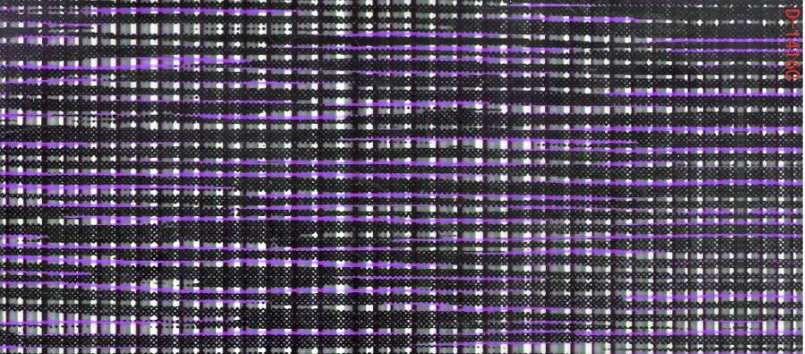 CHG12484