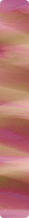 CHR18019