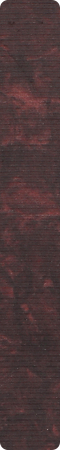 CHS0001