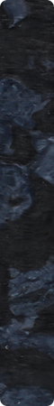 CHS0009