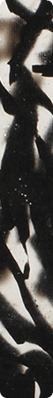 CHX010