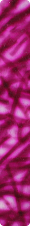 CHX015
