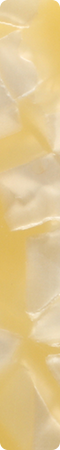 CHX069