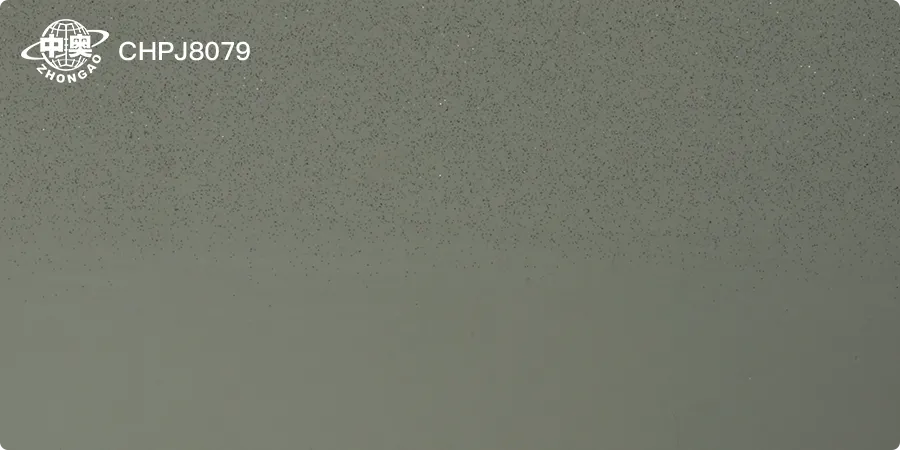 CHPJ8079