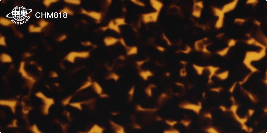 CHM818