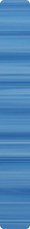 CH1004