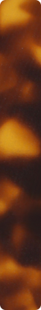 CHM401
