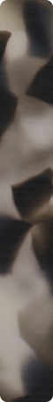 CHM434