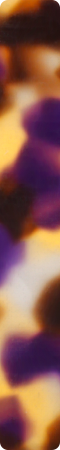 CHM456