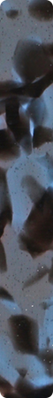 CHMY2104