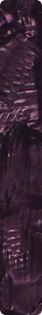 CHS0085