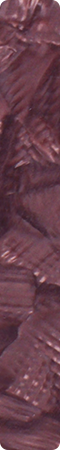 CHS0089