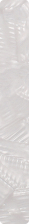 CHS0090