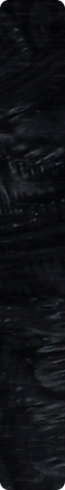 CHS0110
