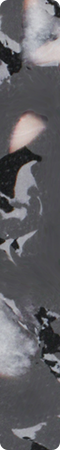 HX10016Z