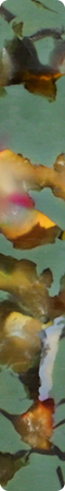 HX10113Z