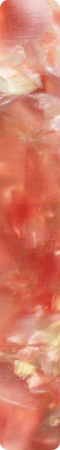 CHZD1501