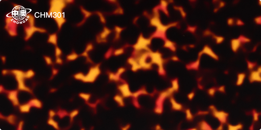 CHM301