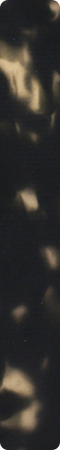 CHM525