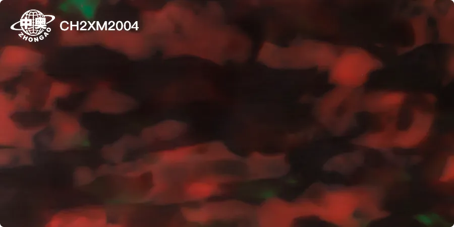 CH2XM2004