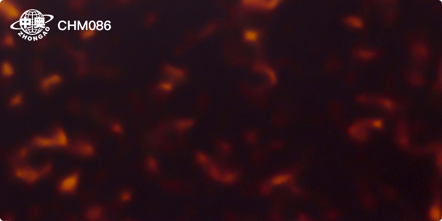 CHM086