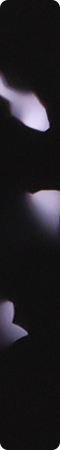 CHM539