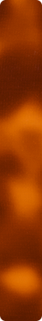 CHHJ046