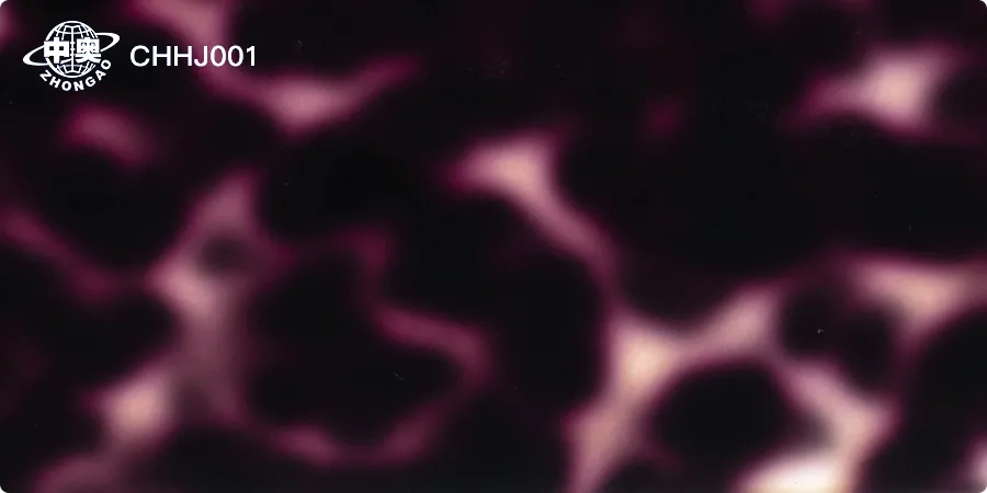 CHHJ001