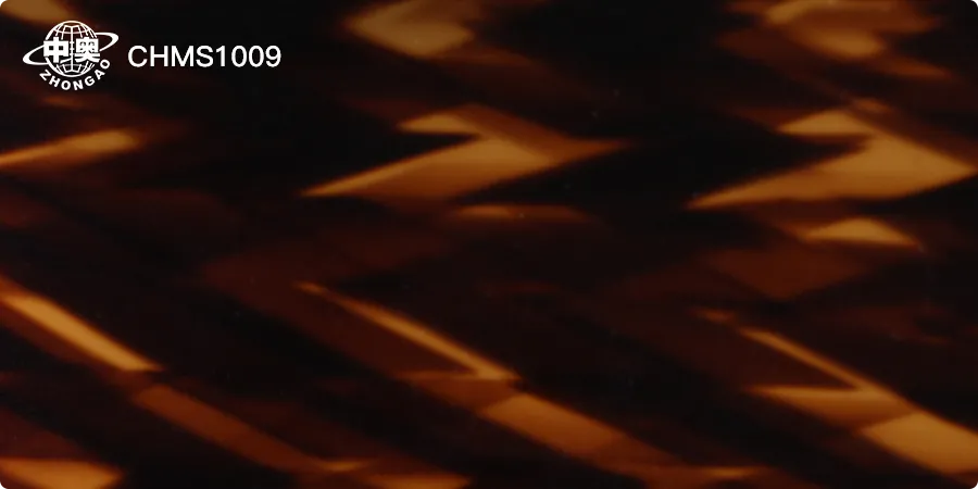 CHMS1009