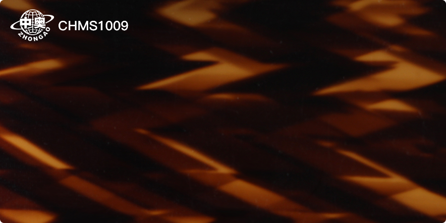 CHMS1009