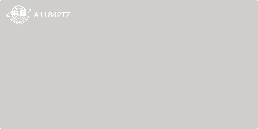 A11842TZ