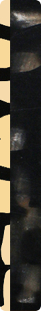 CHQ1098