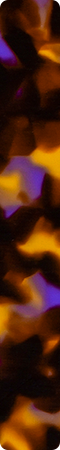 chm893