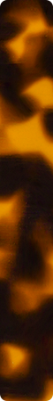 chm894