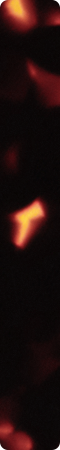 CHM273