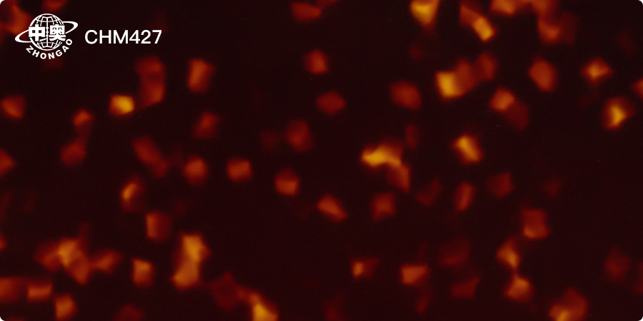 CHM427