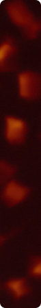 CHM427